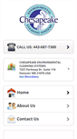 Mobile Screenshot of chesapeakemold.com
